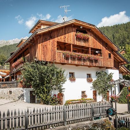 Agriturismo Luech De Vanc 圣马蒂诺-因巴迪亚 外观 照片