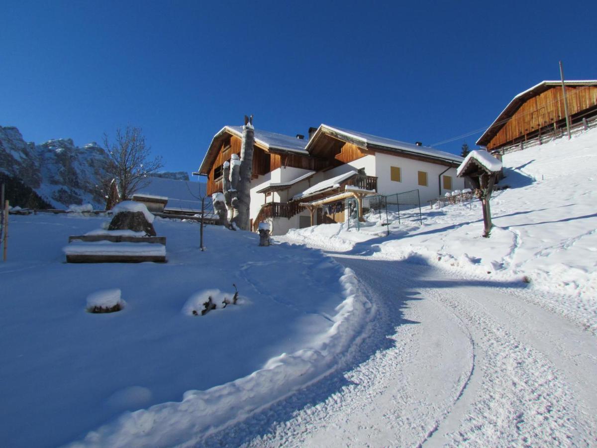 Agriturismo Luech De Vanc 圣马蒂诺-因巴迪亚 外观 照片